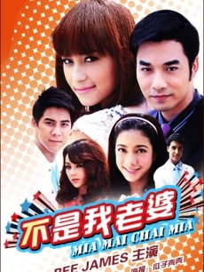 不是我老婆(泰国)/假扮夫妻/老婆你哪位